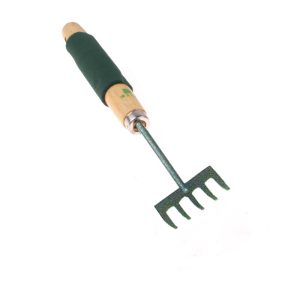 Garden Rake With Five Teeth