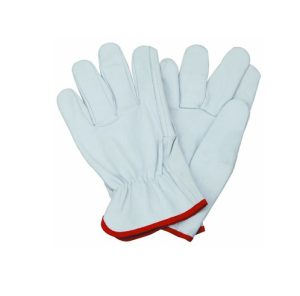 Cotton Gloves